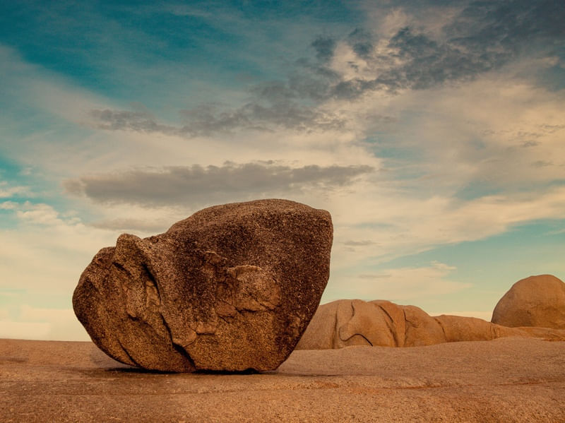 O EQUILIBRIO NA NATUREZA