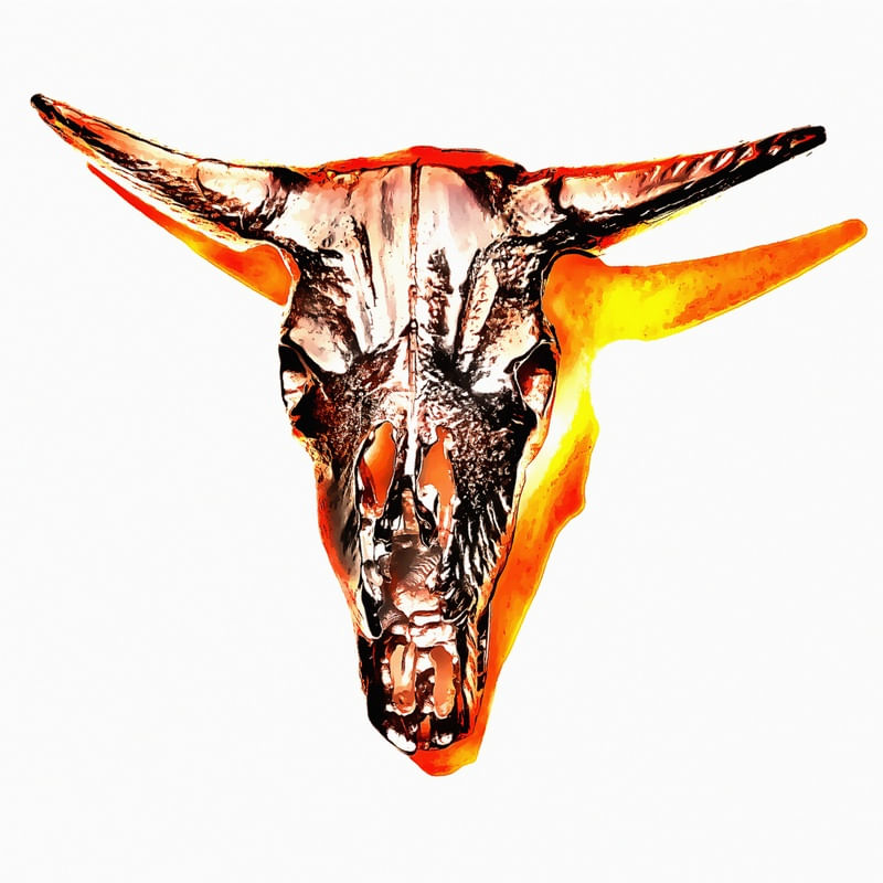 SKULL_1