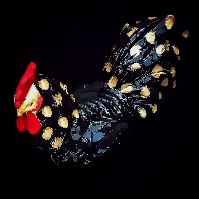 GALO DE BRIGA