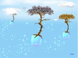 MIGRATORY TREES