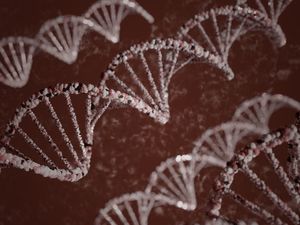DNA 1