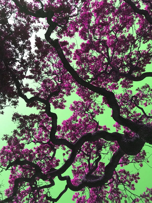YOUR PINK TREE