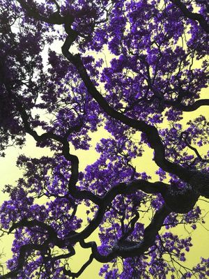 YOUR PURPLE TREE