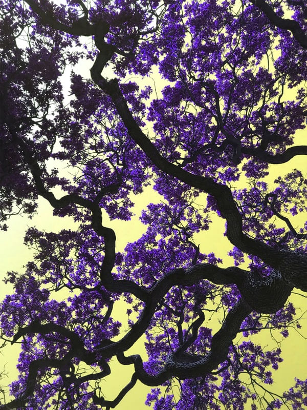 YOUR PURPLE TREE
