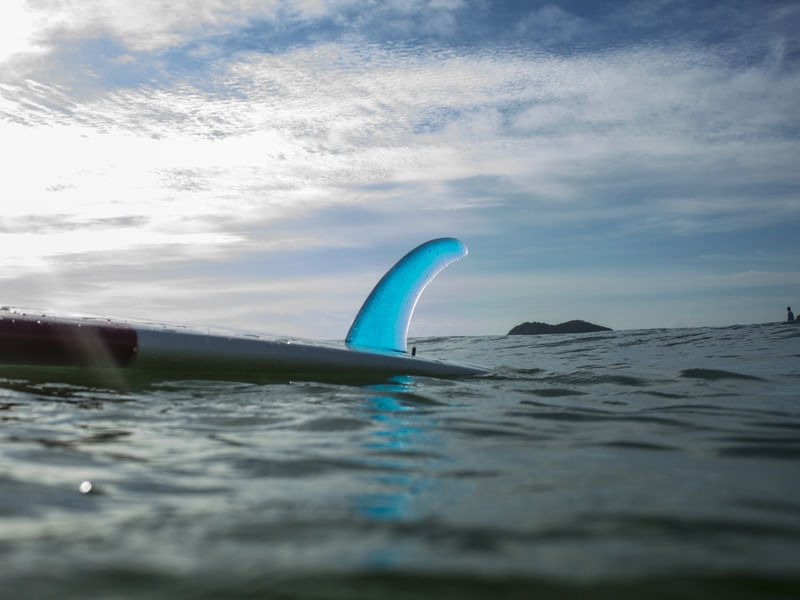 SINGLE FIN AZUL