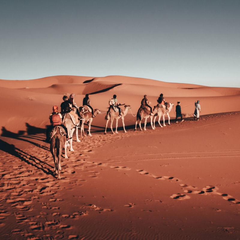DESERTO DO SAARA - O DESERTO E SEUS ENCANTOS