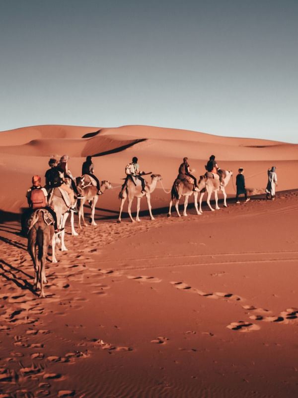 SAARA - O DESERTO E SEUS ENCANTOS