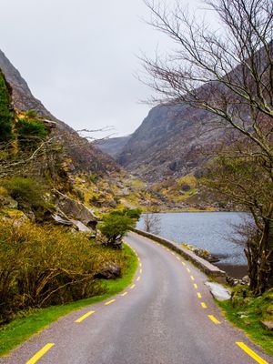 BLACK VALLEY