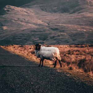 PERDIDA EM CONNEMARA - IRLANDA