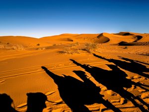 SOMBRAS PELO DESERTO