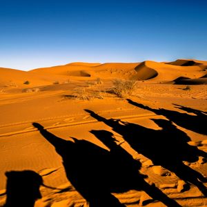 SOMBRAS PELO DESERTO...