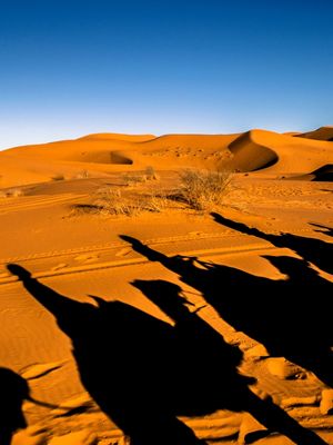 SOMBRAS E RASTROS PELO DESERTO