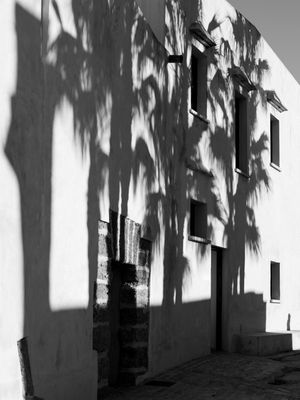 SOMBRAS DE UM VERÃO NO PARAÍSO