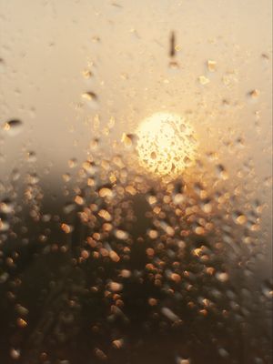 CALOR E VAPOR II