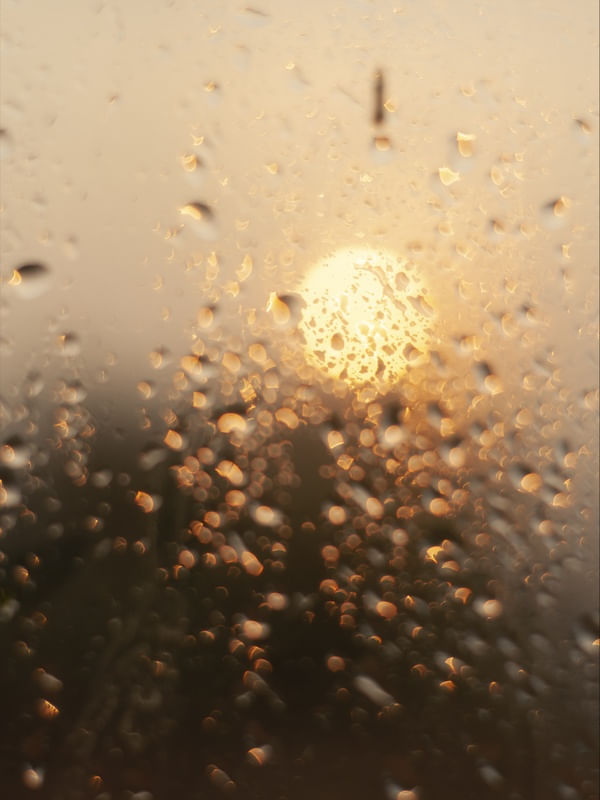 CALOR E VAPOR II