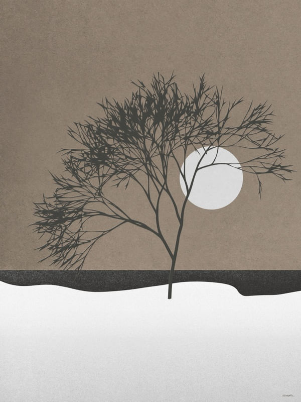 SNOW MOON
