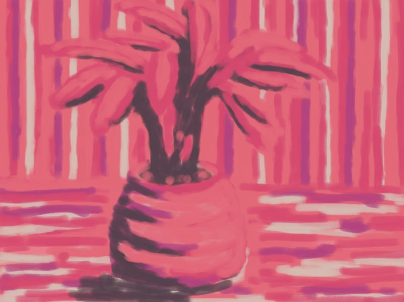 VASO ROSA