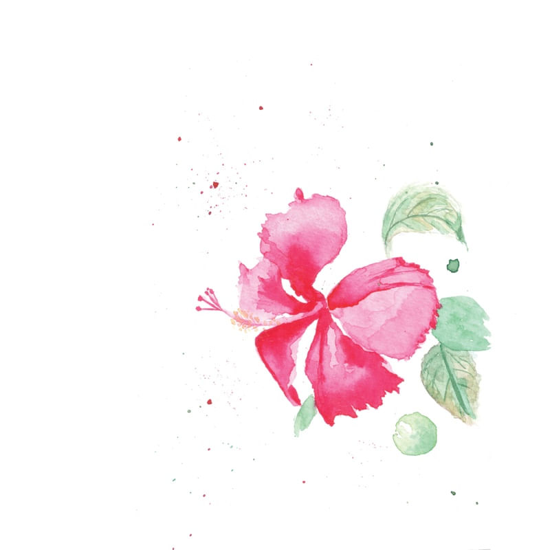 HIBISCUS FLOR