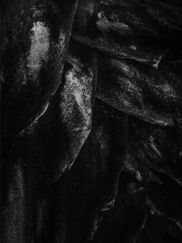 BORBOLETAS ABSTRATAS