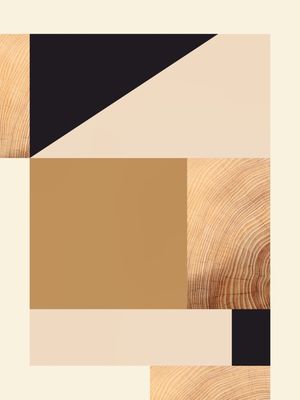 GEOMETRIC ABSTRACT 55