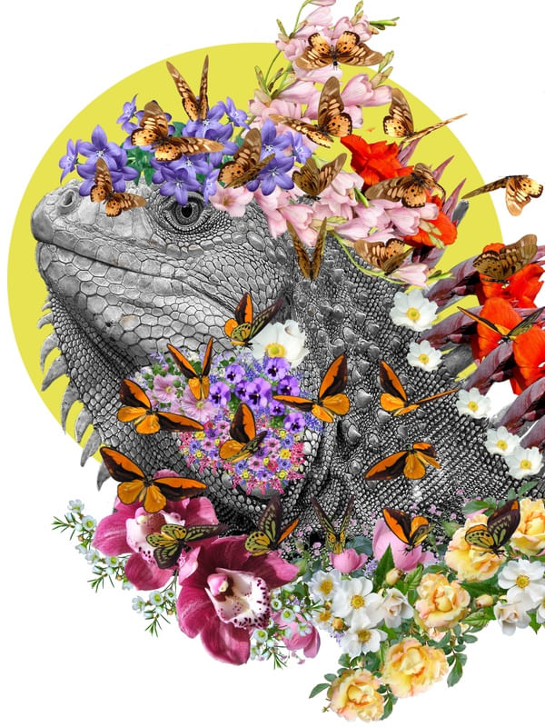 MANIPULATION 01015