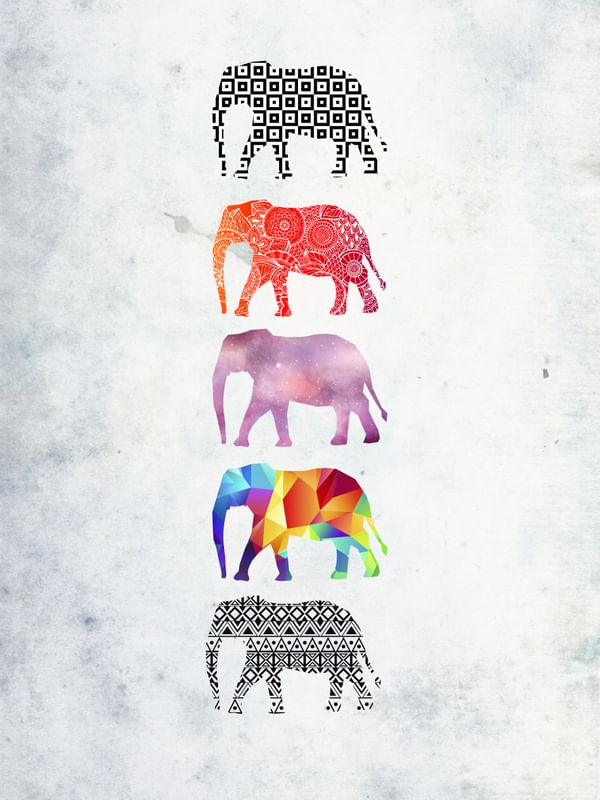 ELEPHANTZ2