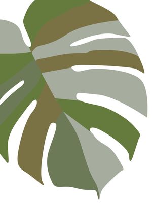 FOLHAGENS - COSTELA DE ADÃO EM TONS DE VERDE