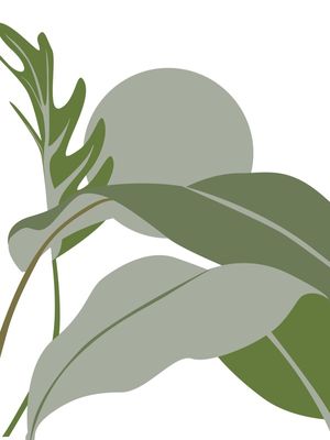 FOLHAGENS - FOLHAS EM TONS DE VERDE