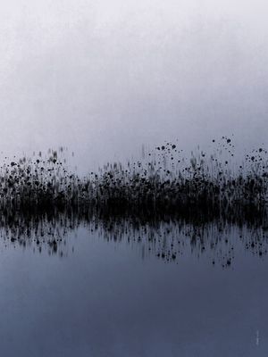FÔLEGO N.011