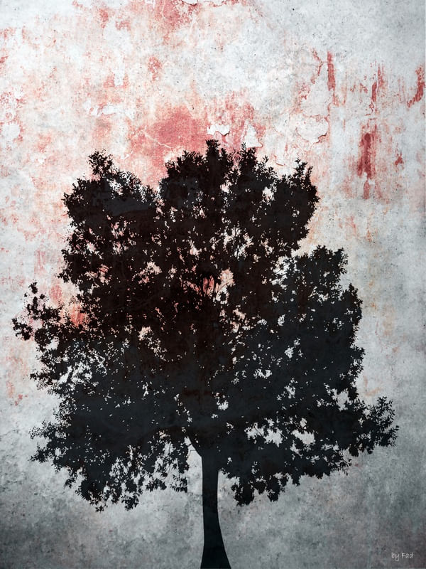 TREE ON TEXTURE II