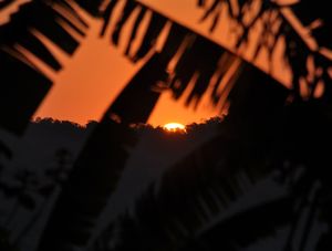 TCHAU DO SOL