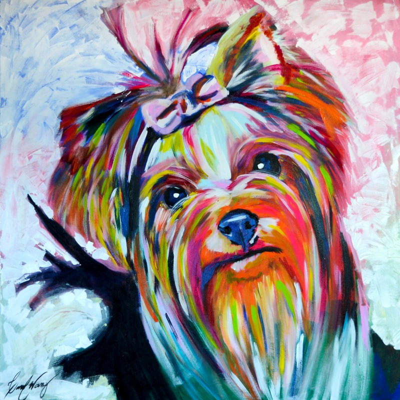 YORKSHIRE DOG