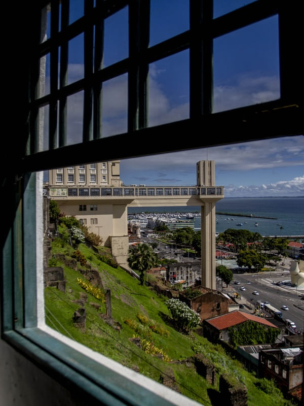SALVADOR MEU AMOR
