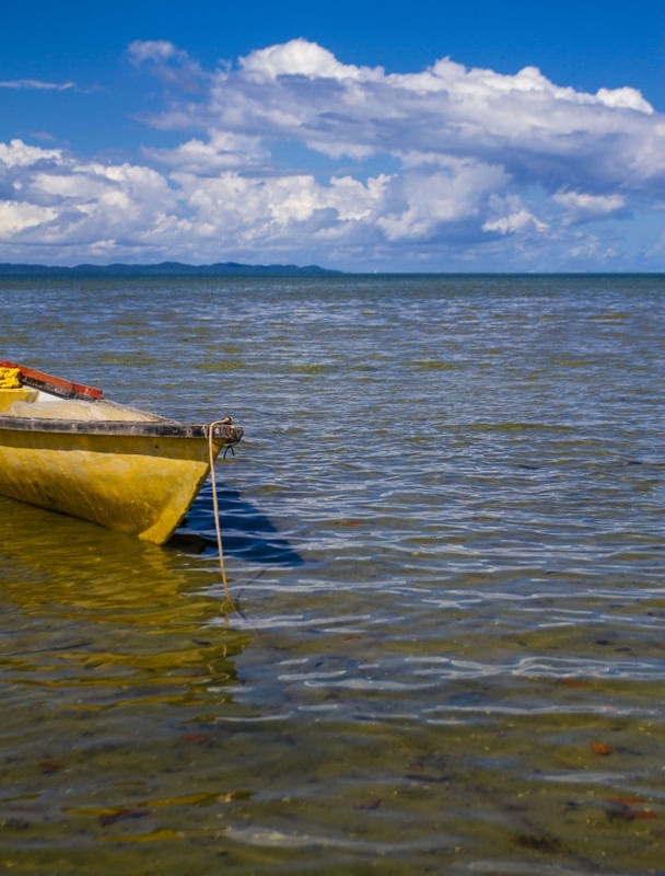 YELLOW CANOE