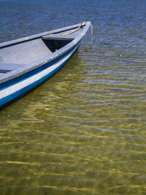 BLUE BOAT 2