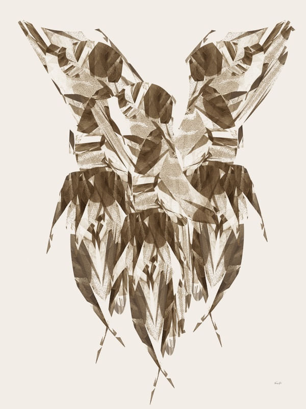 ABSTRACT-DANCING-ART