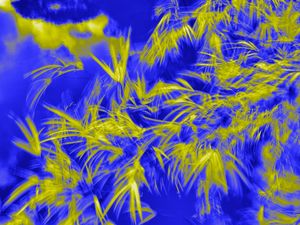 FOLHAS AO VENTO (LEAVES IN THE WIND)