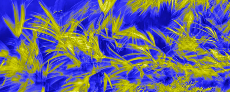 FOLHAS AO VENTO 205-52 (LEAVES IN THE WIND)