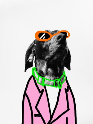 COOLEST DOG