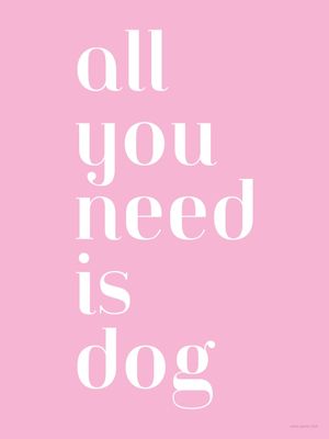 ALL YOU NEED IS DOG 1