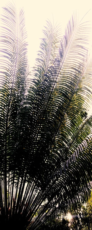 METACRILATO PAN IV
