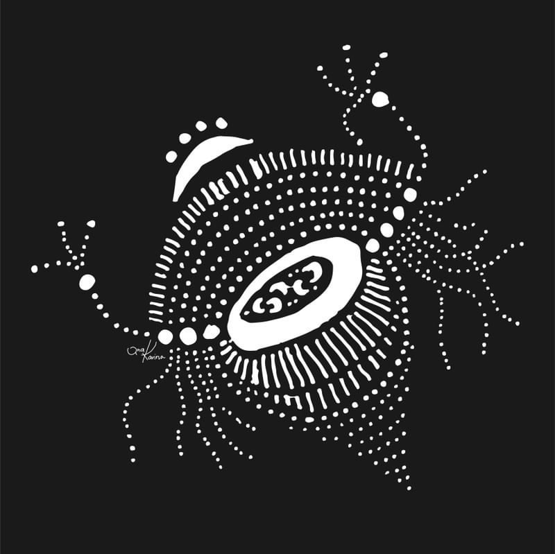 DIVINA GEOMETRIA 10B