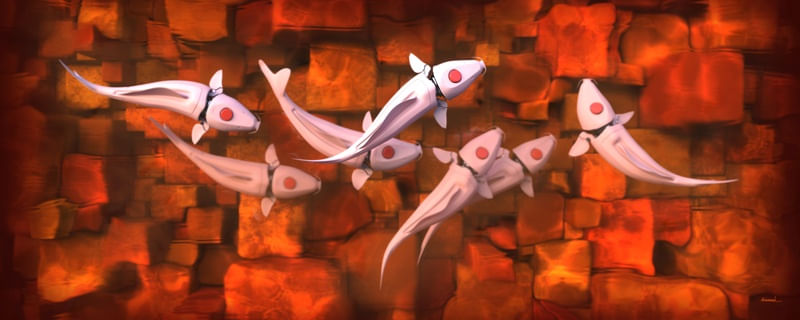 LAGO KOI