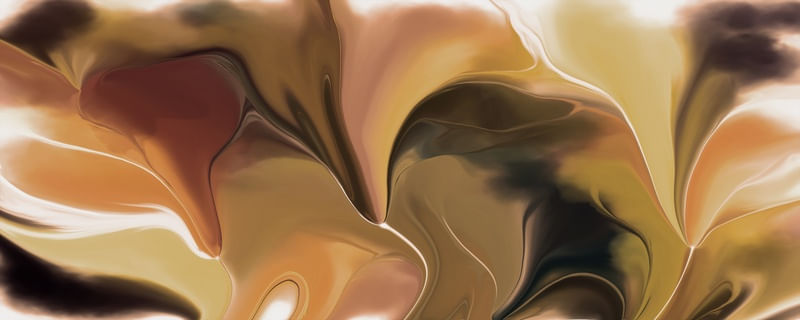 D. CURVES 13