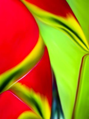 ABSTRATOS FLORAIS OU FLORAIS ABSTRATOS....2