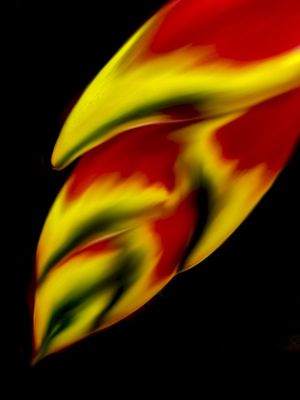 ABSTRATOS FLORAIS OU FLORAIS ABSTRATOS....3