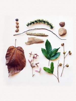 COMPOSIÇÃO COM NATUREZA 03