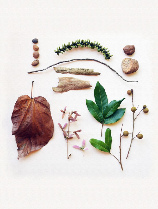 COMPOSIÇÃO COM NATUREZA 03