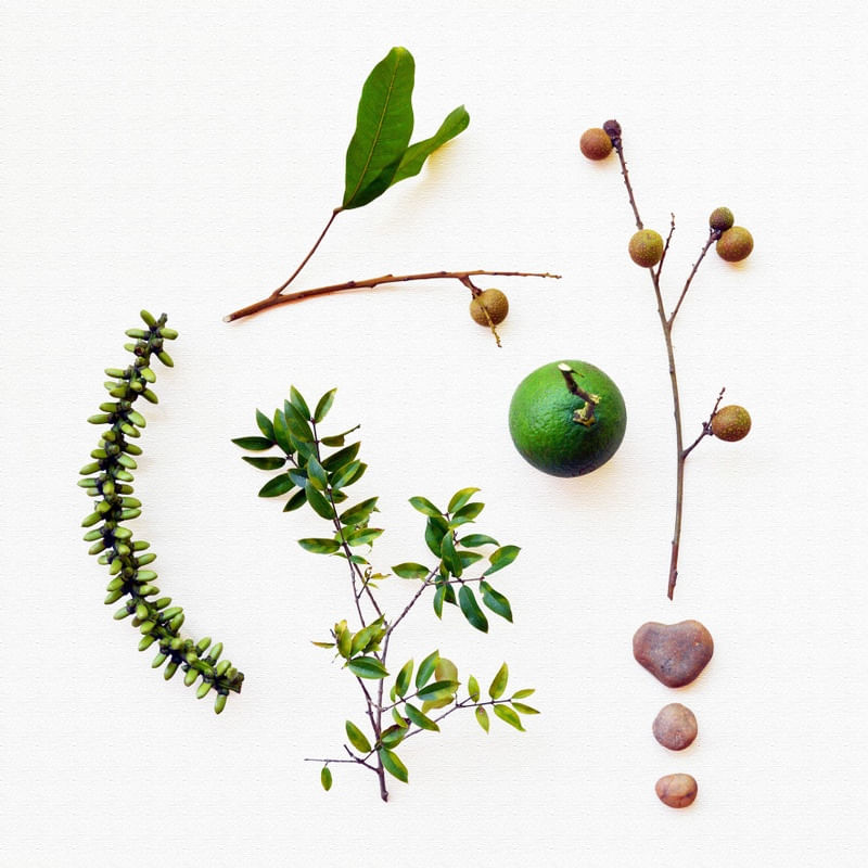 COMPOSIÇÃO COM NATUREZA 06A - OPÇÃO QUADRADA