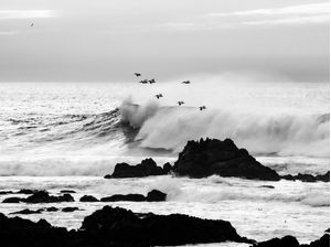 VOÔ SOBRE AS ONDAS